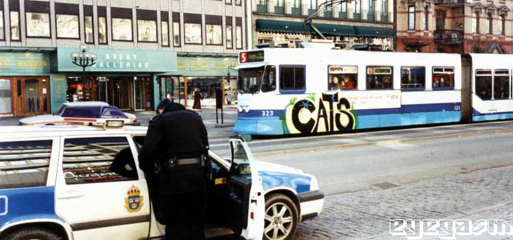 cats001.jpg