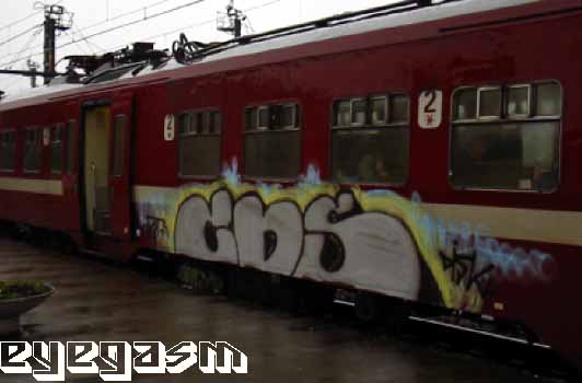 cds03.jpg