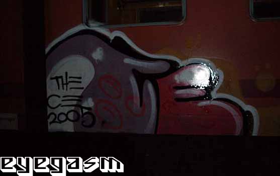 ce001.jpg