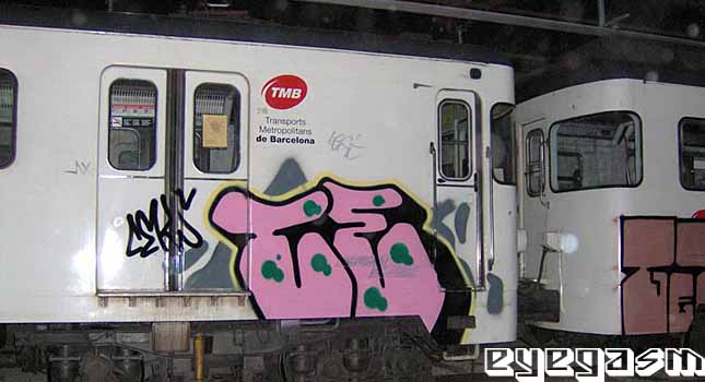 ce01.jpg