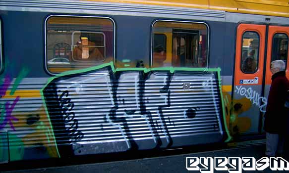 cefo01.jpg