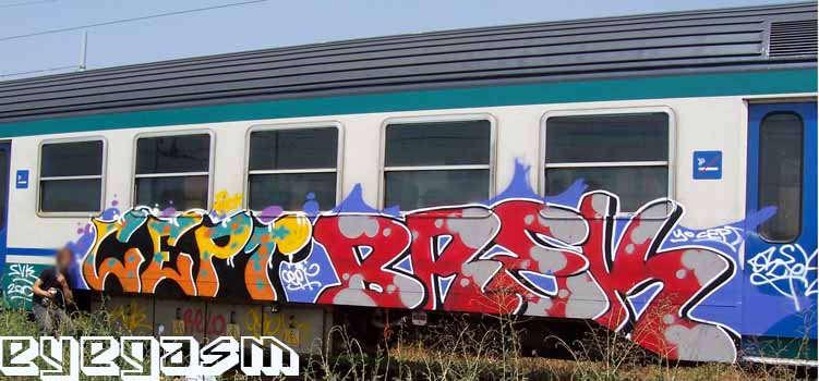 cept-brek01.jpg