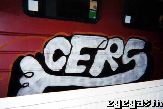 cers01.jpg