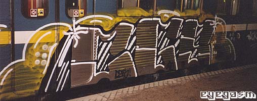 cgs01.jpg