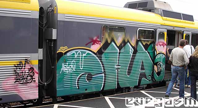 chas02.jpg