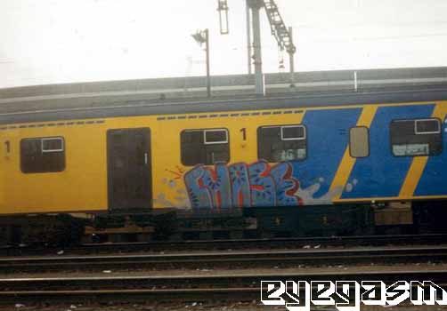 chase1.jpg