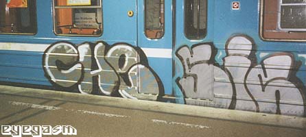 che-sis01.jpg