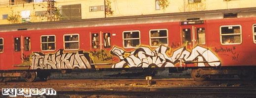 chiks-storm02.jpg