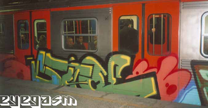 citoe01.jpg