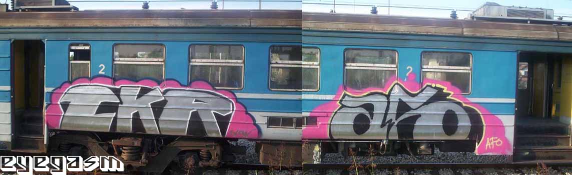 ckr-afo02.jpg