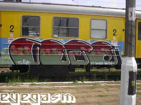 cleo15.jpg