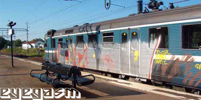 cns01.jpg