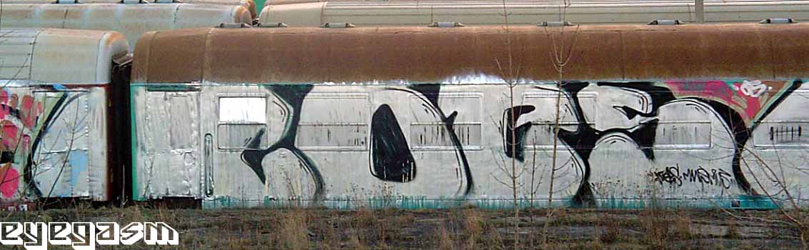 cobs-wc01.jpg