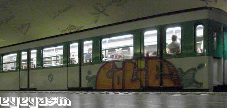 colie03.jpg