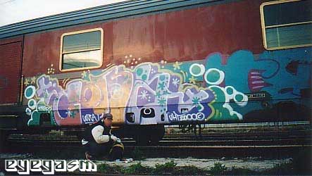 cora02.jpg
