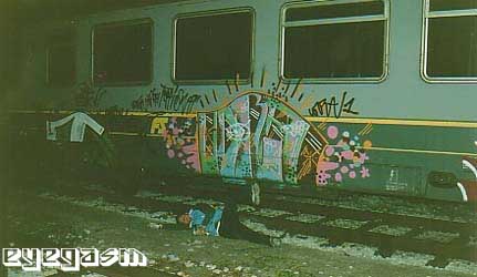 cora03.jpg