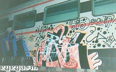 cora05.jpg