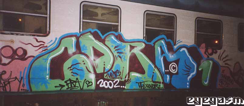 cora10.jpg