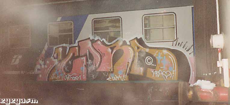 cora11.jpg