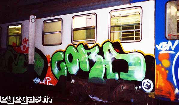 cora19.jpg