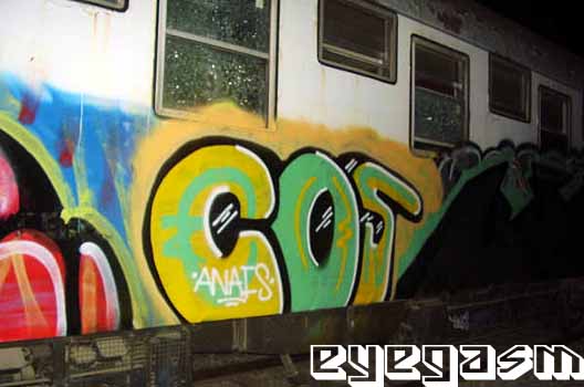 cos01.jpg