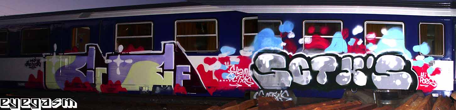 cref-sctxs01.jpg