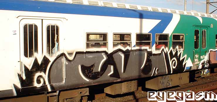 culo01.jpg