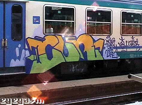 cur01.jpg