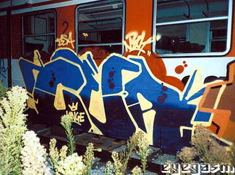 cur04.jpg