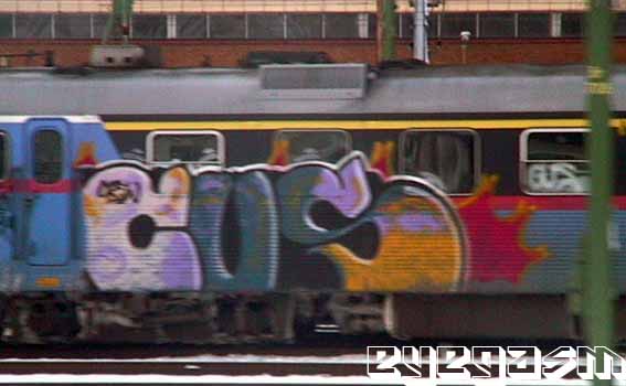 cus01.jpg