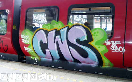 cws01.jpg