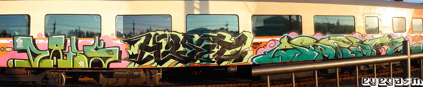 dabs-host-asesr02.jpg