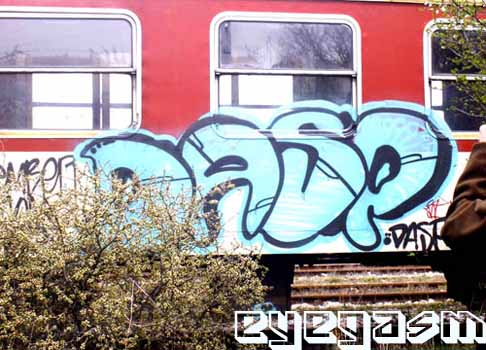 dasp01.jpg