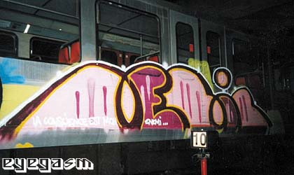 debil01.jpg