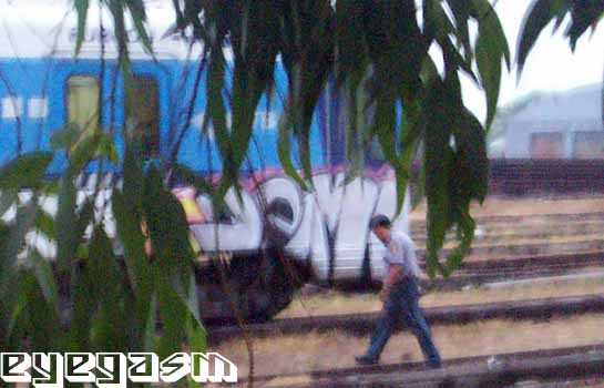 demi001.jpg