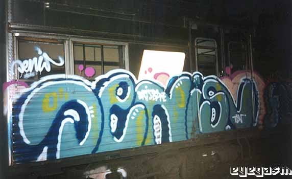 denis04.jpg