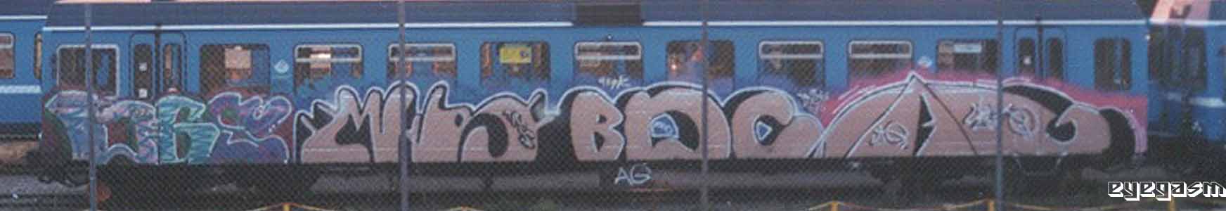 dgs-mhr-bdc-ag01.jpg