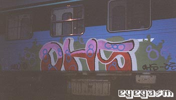 dhs01.jpg