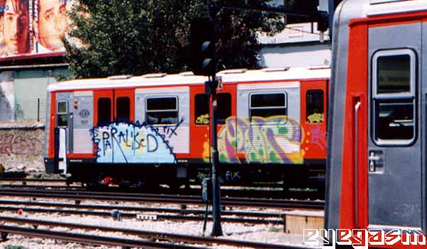 dik-por01.jpg