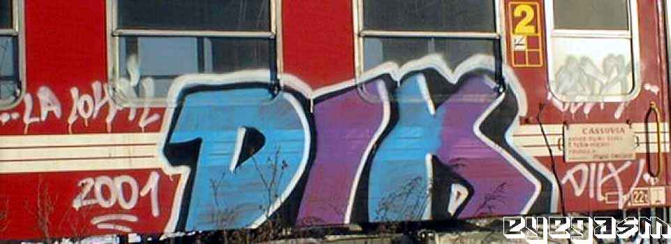 dik01.jpg