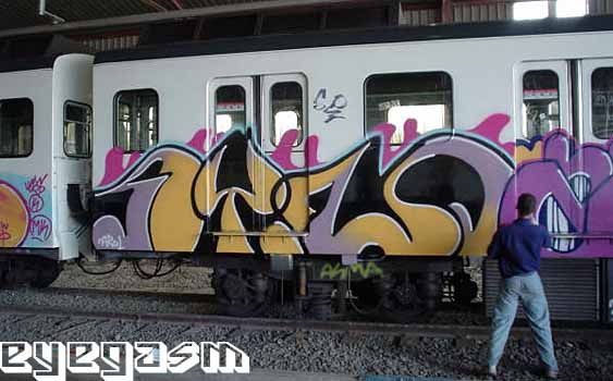 dim03.jpg