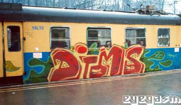dims2.jpg