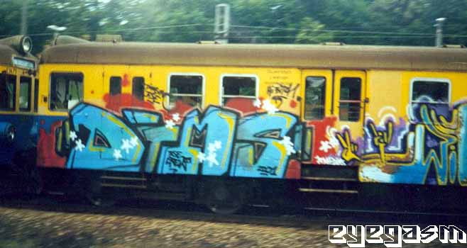 dims3.jpg