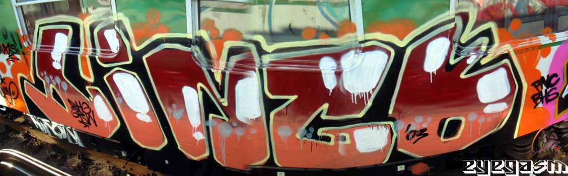 dingo01.jpg