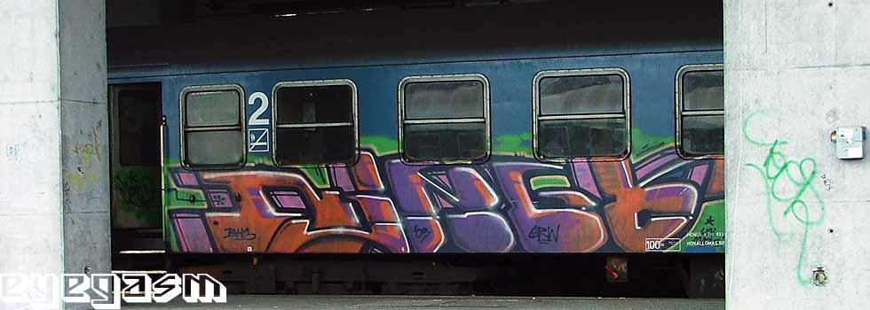 dingo02.jpg