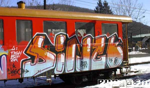 dingo03.jpg