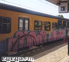 dins-bean02.jpg