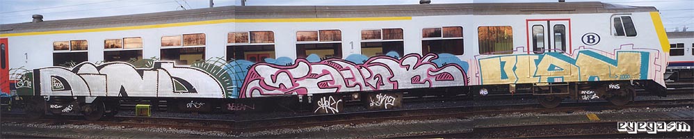 dins-shok-bean01.jpg