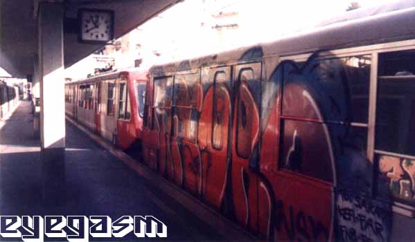 dintoro02.jpg