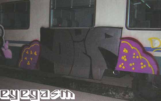 dip01.jpg